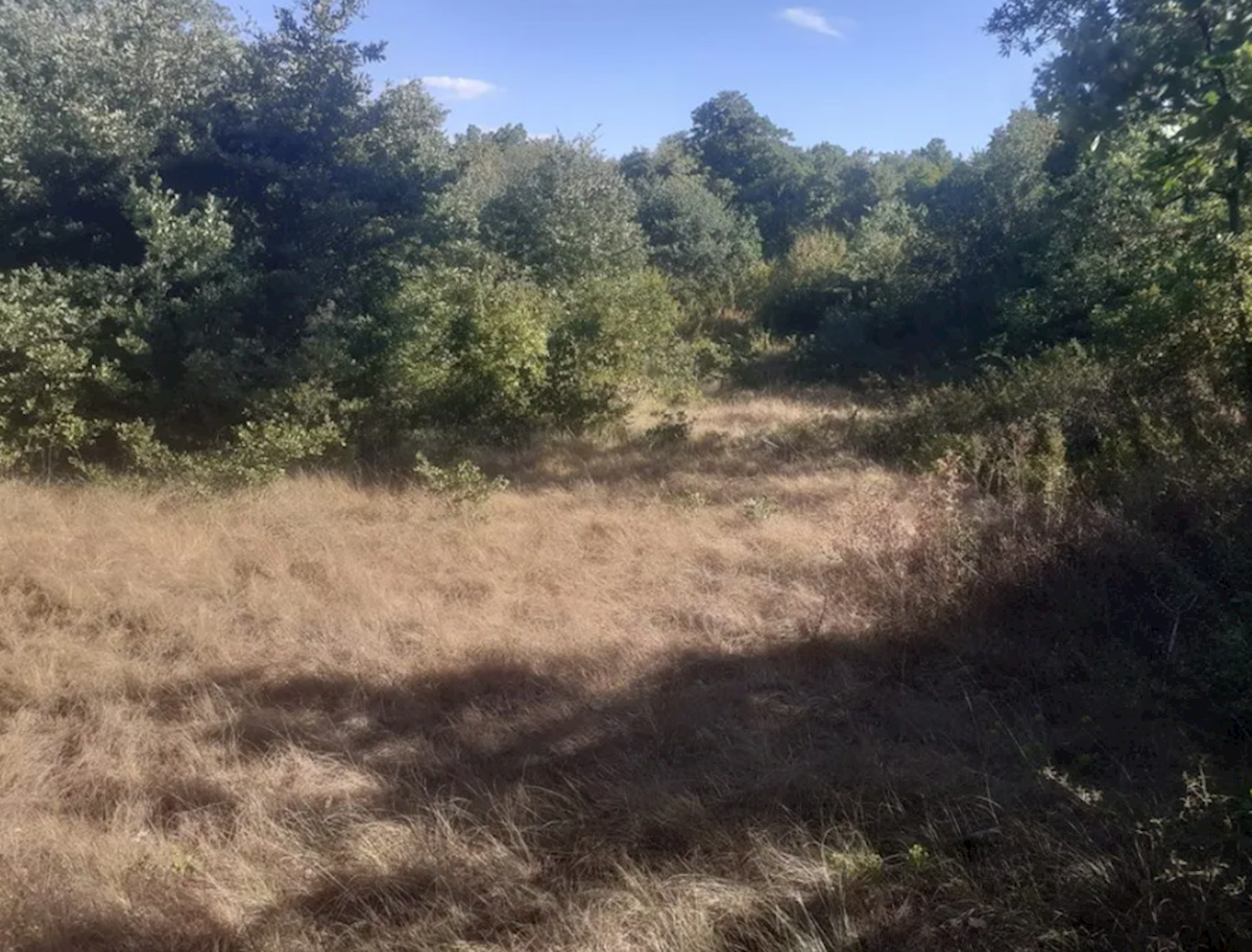 Parcela Na predaj - Istarska Svetvinčenat - foto 1/7