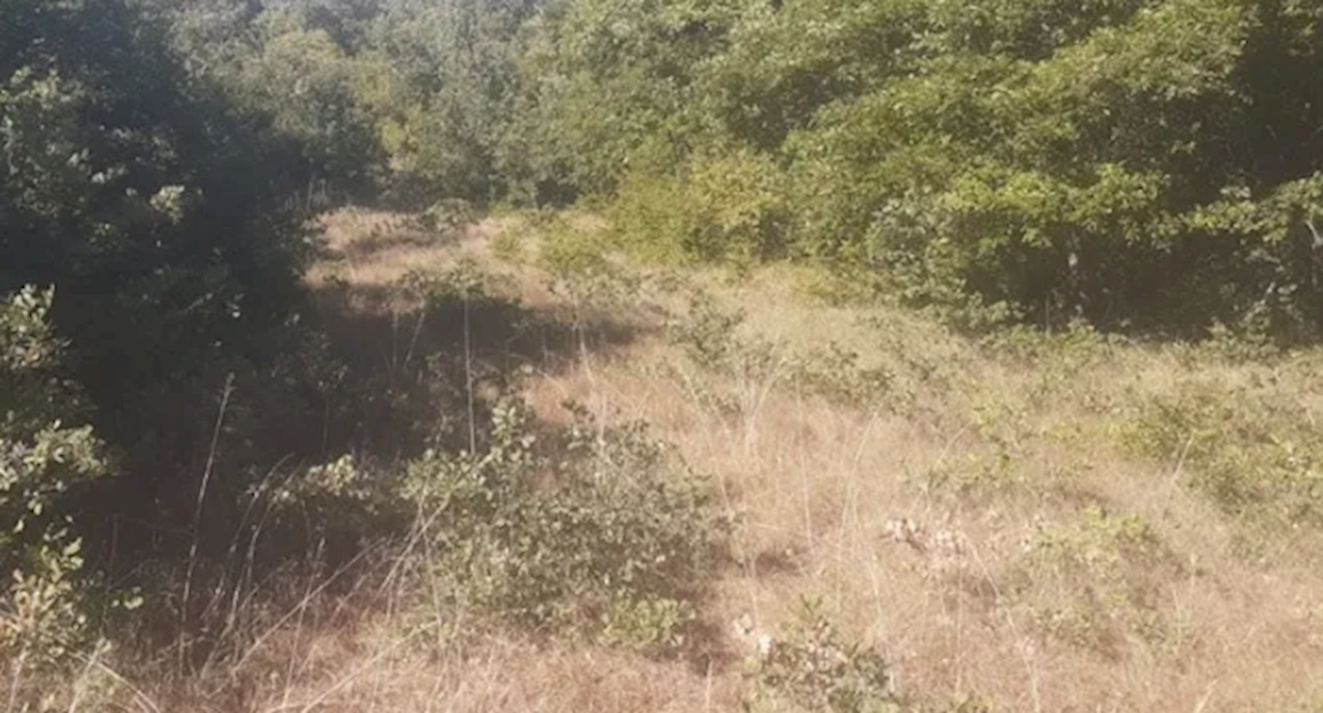 Parcela Na predaj - Istarska Svetvinčenat - foto 5/7