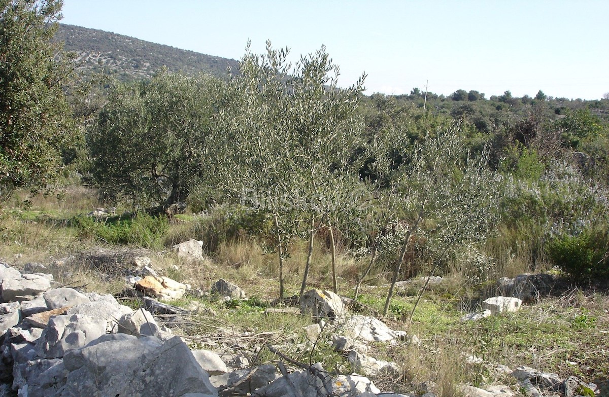 Kuća Na prodaju - SPLITSKO-DALMATINSKA TROGIR