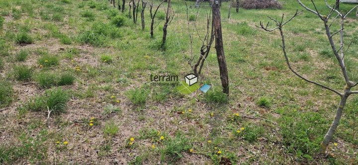 Hiša Naprodaj - Istarska Barban - foto 2/8