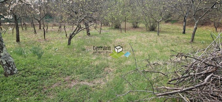 Hiša Naprodaj - Istarska Barban - foto 4/8
