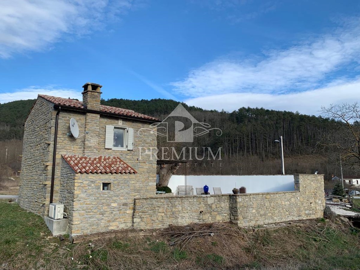 House For sale - ISTARSKA OPRTALJ