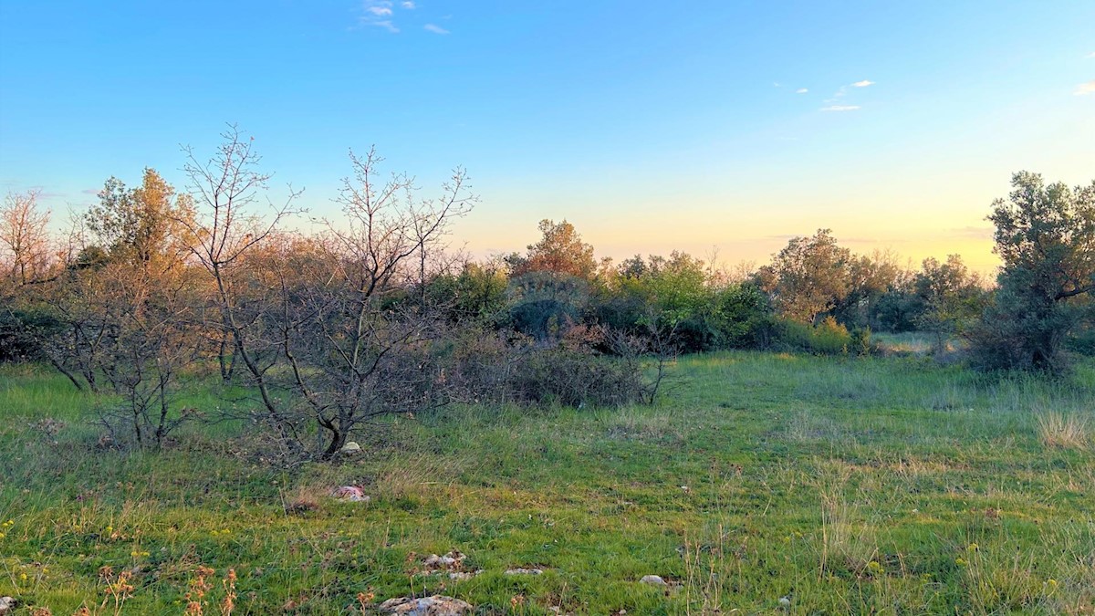 Parcela Na predaj - Istarska Vodnjan - foto 4/11
