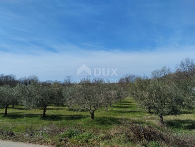 Land for sale 6419 m² – Poreč