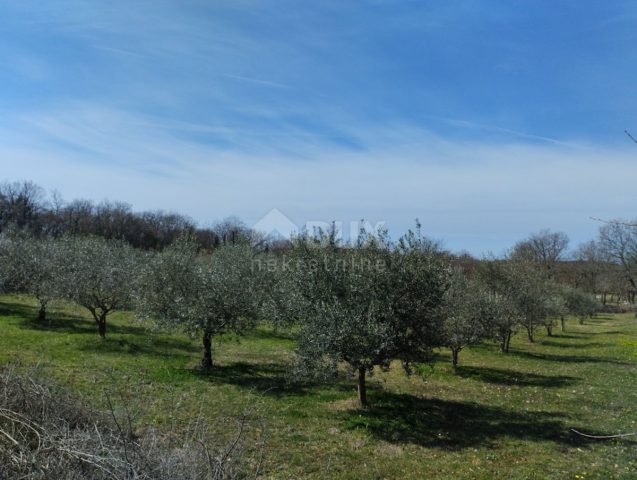 Terrain À vendre - Istarska Poreč - foto 2/2