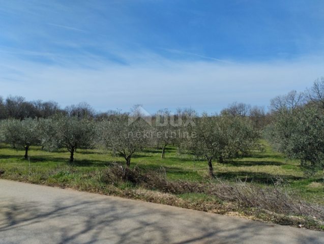 Parcela Naprodaj - Istarska Poreč - foto 3/3