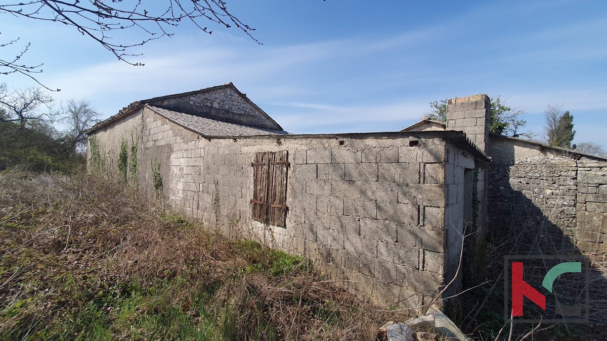 Haus Zu verkaufen - ISTARSKA ŽMINJ