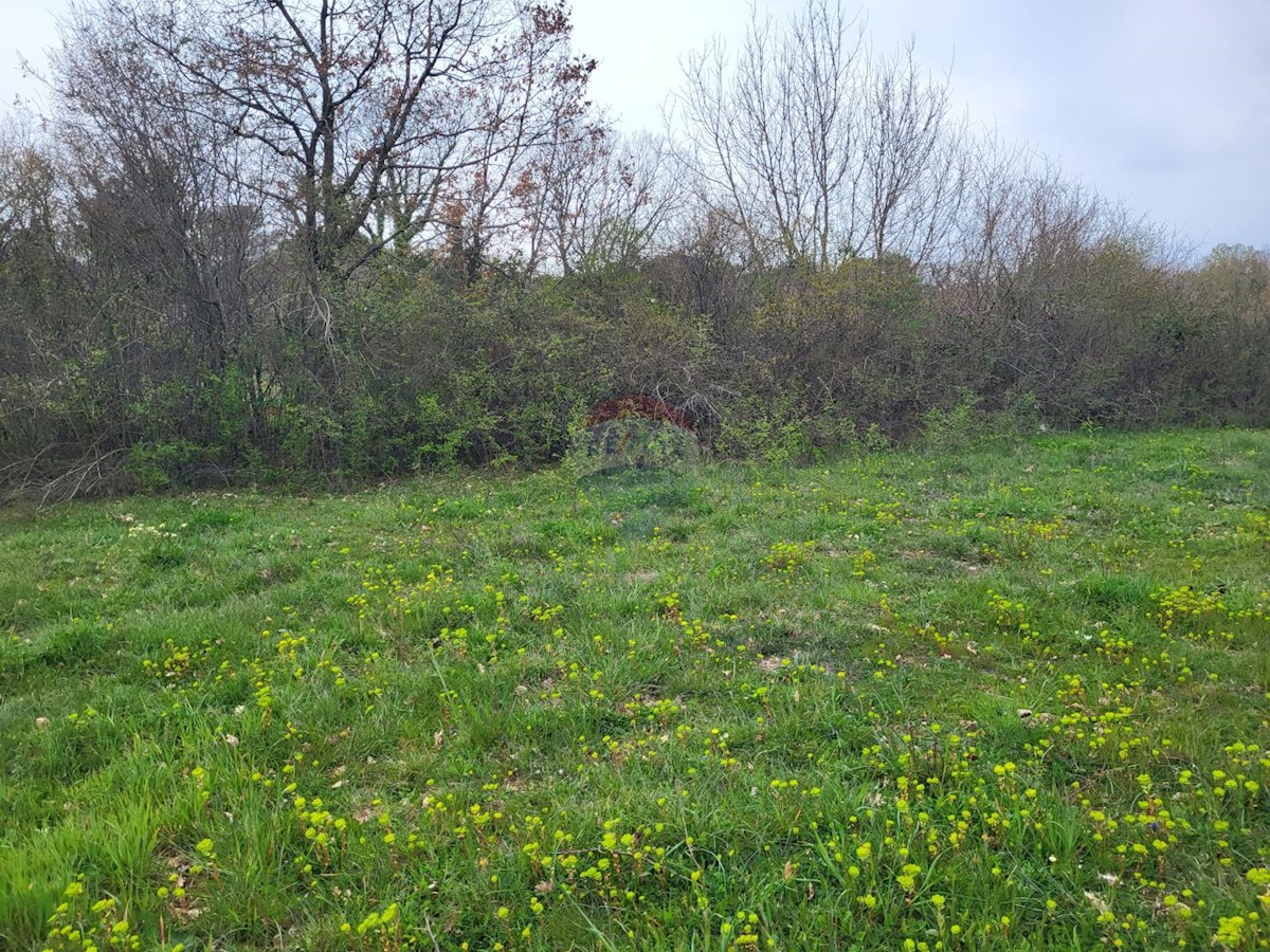 Terreno In vendita - ISTARSKA BARBAN