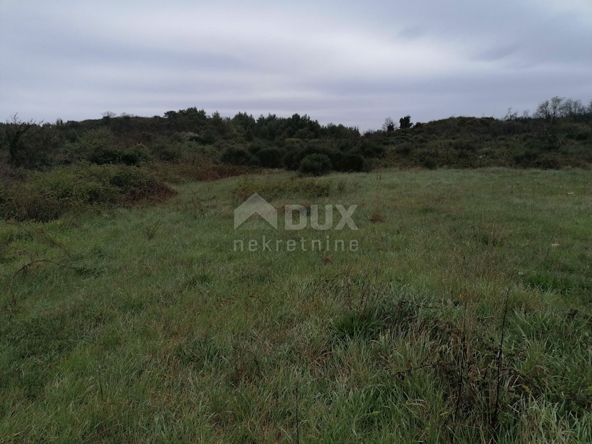 Terrain À vendre - Istarska Ližnjan - foto 2/2