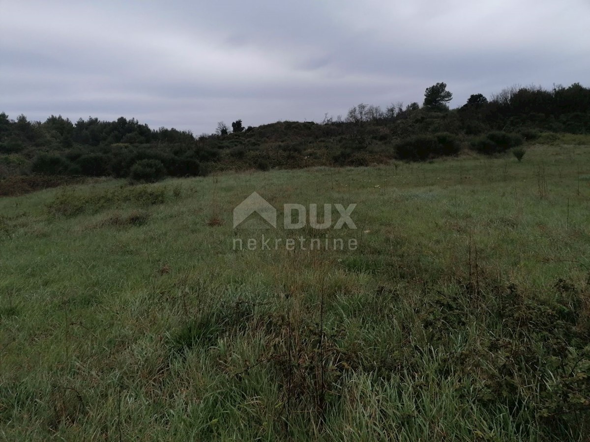 Terrain À vendre