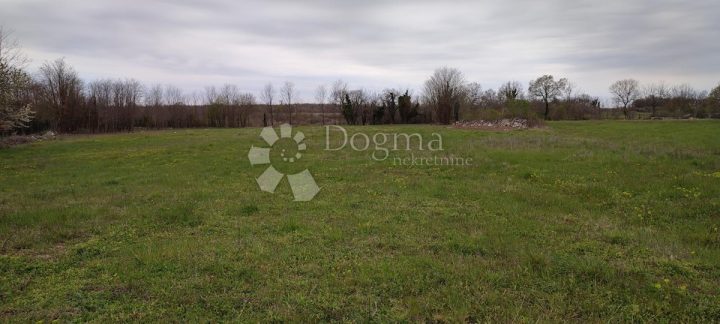 Parcela Naprodaj - Istarska Tinjan - foto 5/5