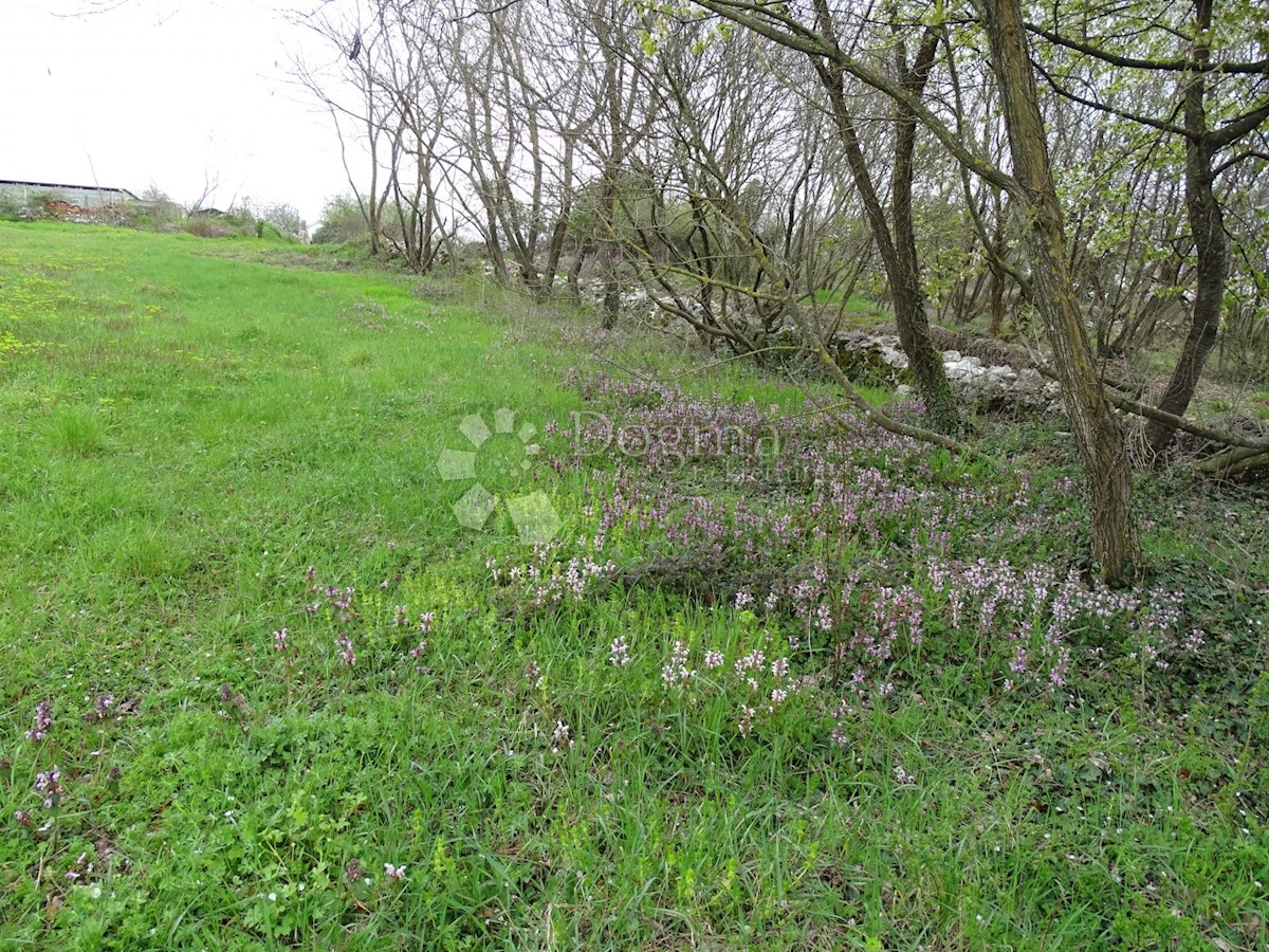 Zemljište Na prodaju - ISTARSKA TINJAN