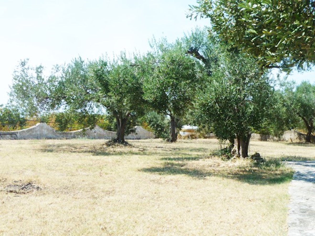 Kuća Na prodaju - ISTARSKA VODNJAN
