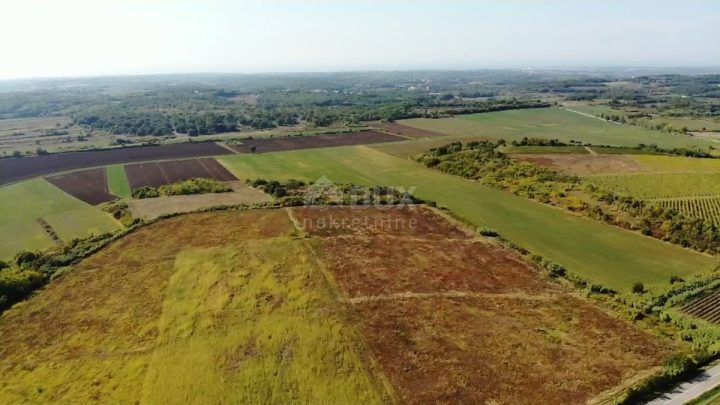 Pozemok na predaj 14255 m² – Buje