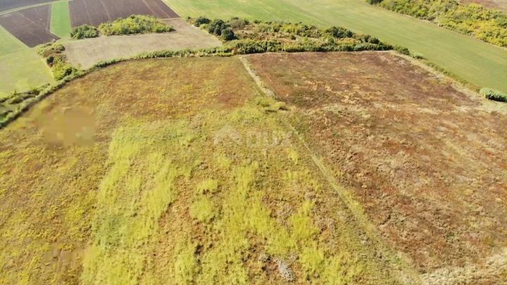 Land For sale - Istarska Buje - foto 3/13
