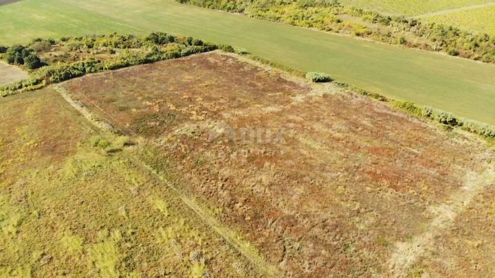 Land For sale - Istarska Buje - foto 4/13