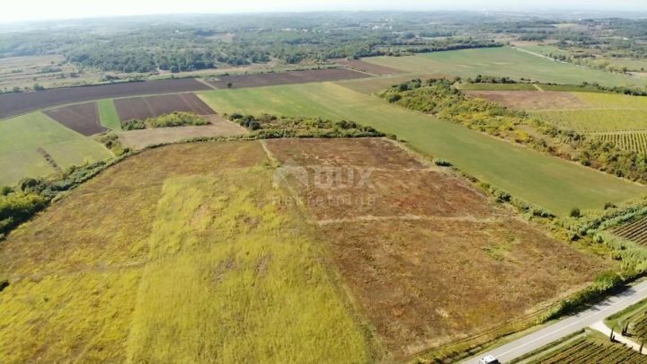 Pozemok na predaj 68267 m² – Buje