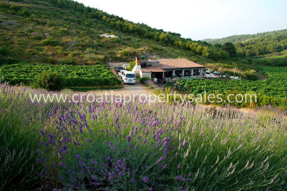 House For sale - SPLITSKO-DALMATINSKA VIS