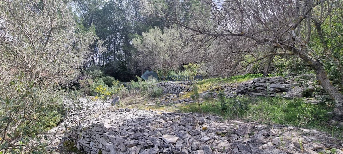 Land For sale - DUBROVAČKO-NERETVANSKA KORČULA