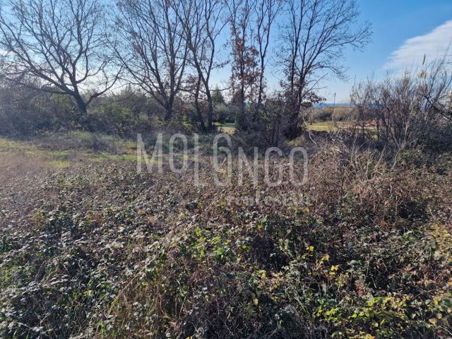 Terrain À vendre - Istarska Poreč - foto 4/6