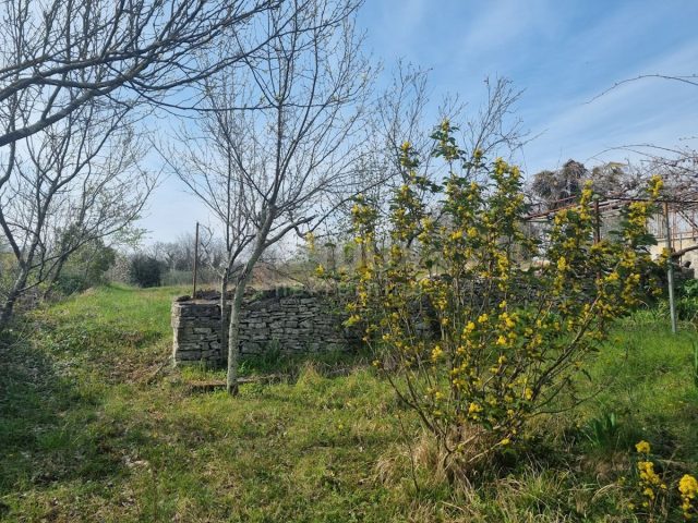 House For sale - Istarska Tinjan - foto 3/15