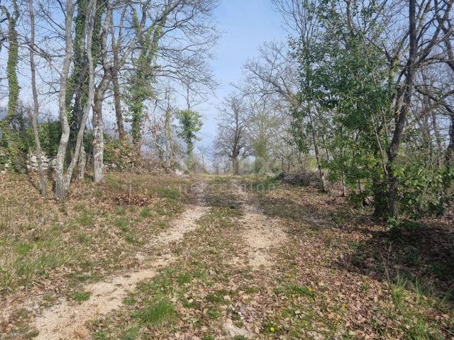 House For sale - Istarska Tinjan - foto 4/15