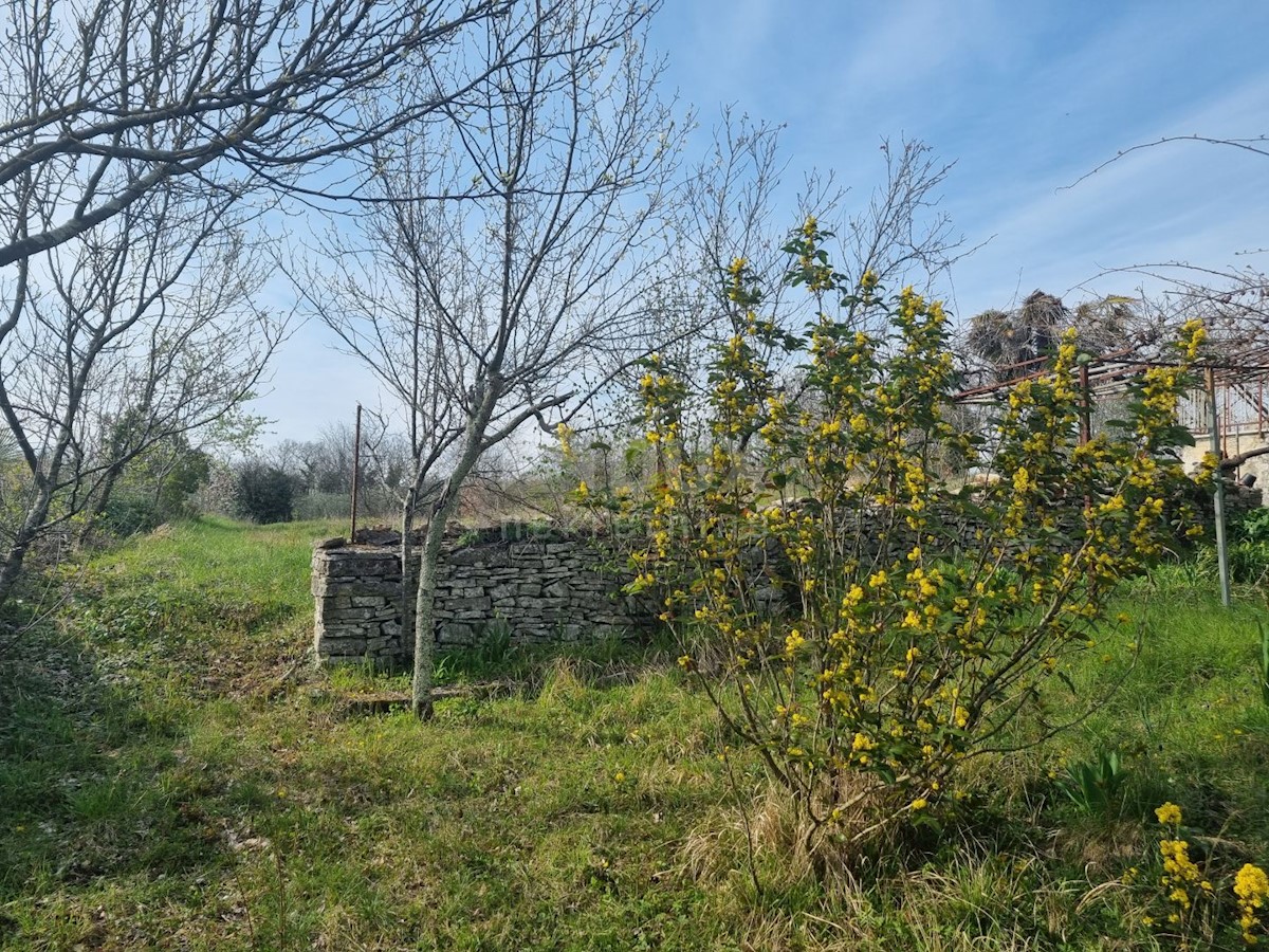 Kuća Na prodaju - ISTARSKA TINJAN