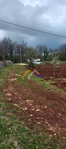 Terrain à vendre 1194 m² – Tinjan