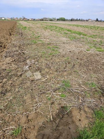 Land for sale 9171 m² – Turčin
