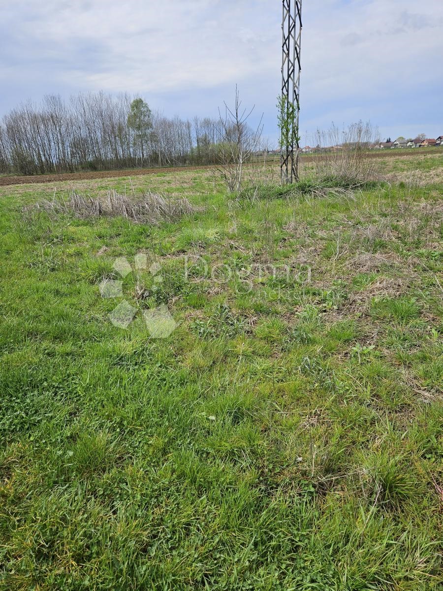 Zemljište Na prodaju - VARAŽDINSKA GORNJI KNEGINEC