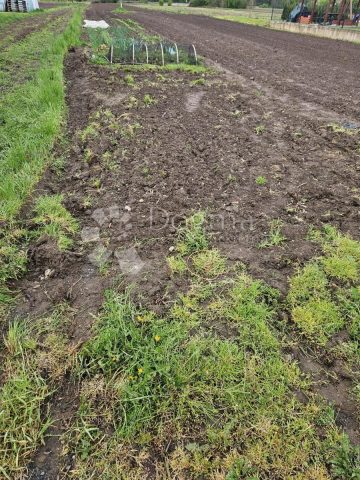 Terreno in vendita 1000 m² – Gojanec