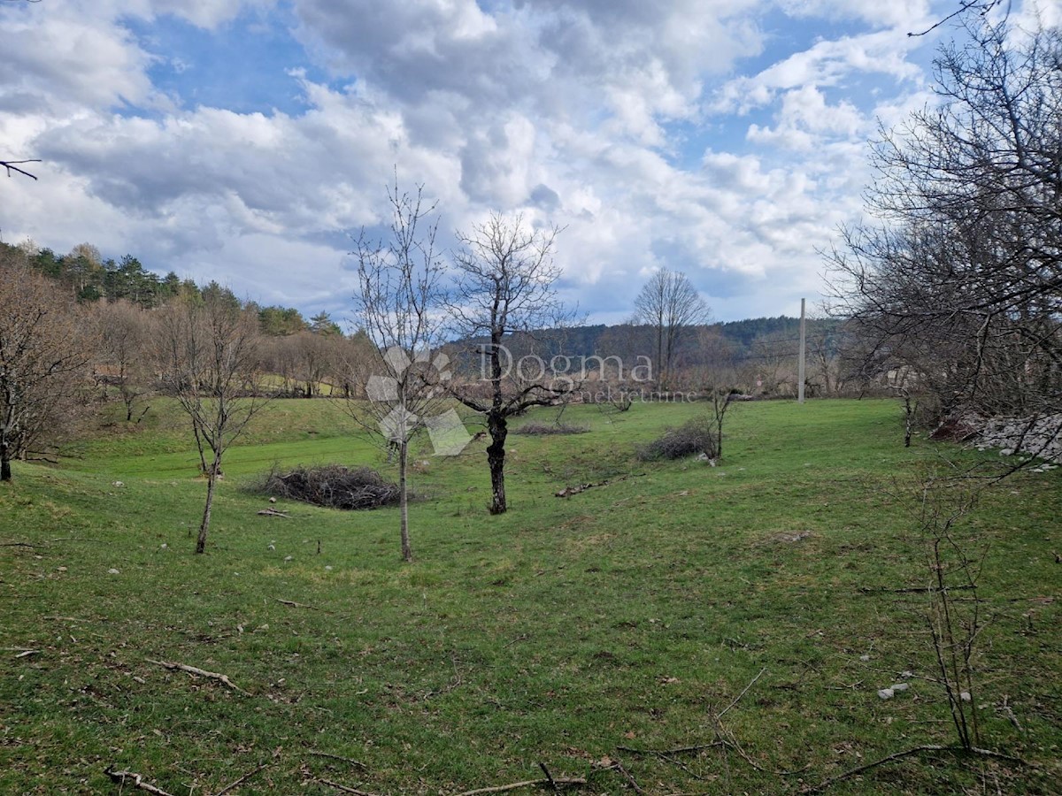 Pozemek Na prodej - Primorsko-goranska Klana - foto 2/4
