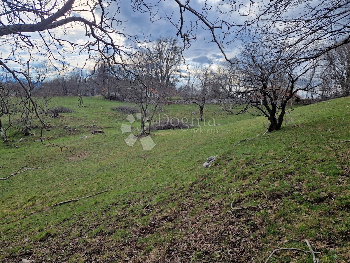 Pozemek Na prodej - Primorsko-goranska Klana - foto 3/4