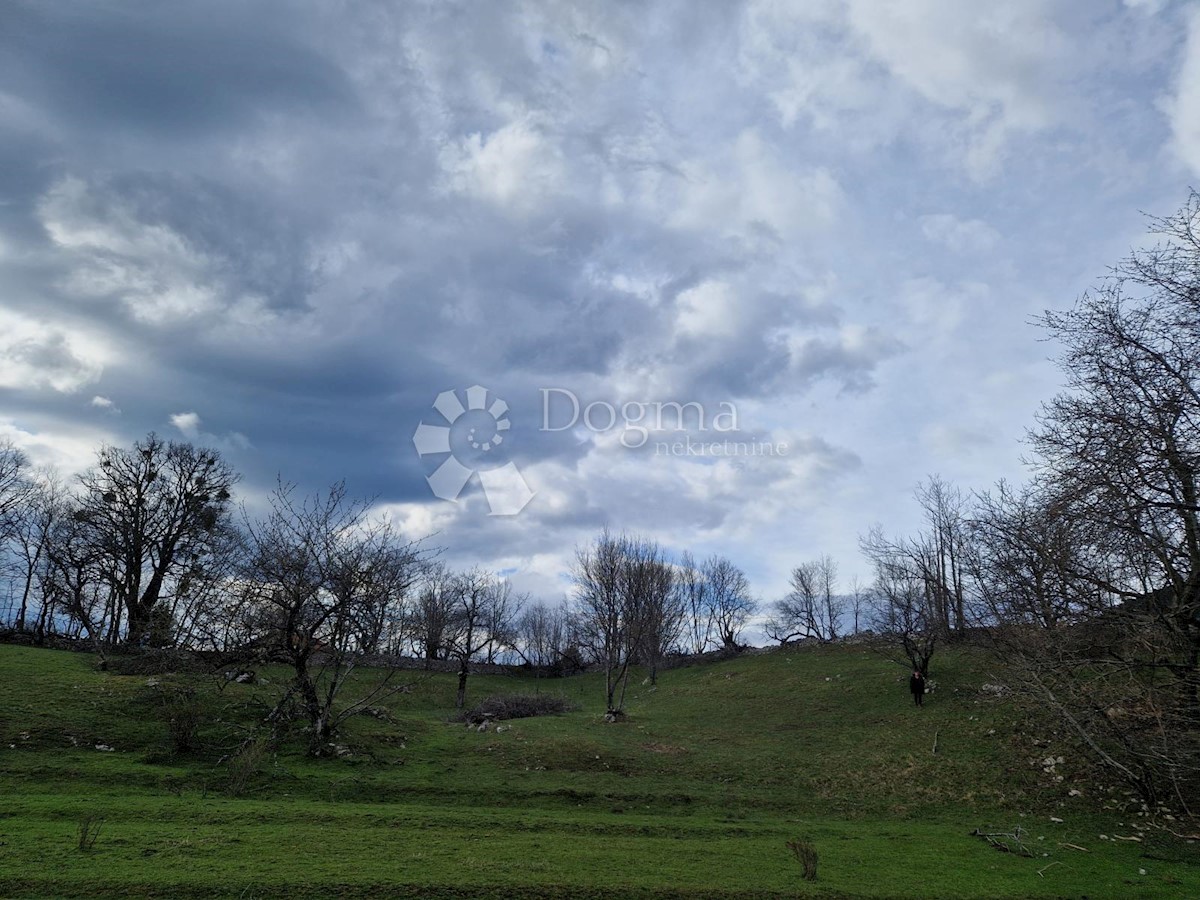 Pozemek Na prodej - Primorsko-goranska Klana - foto 4/4