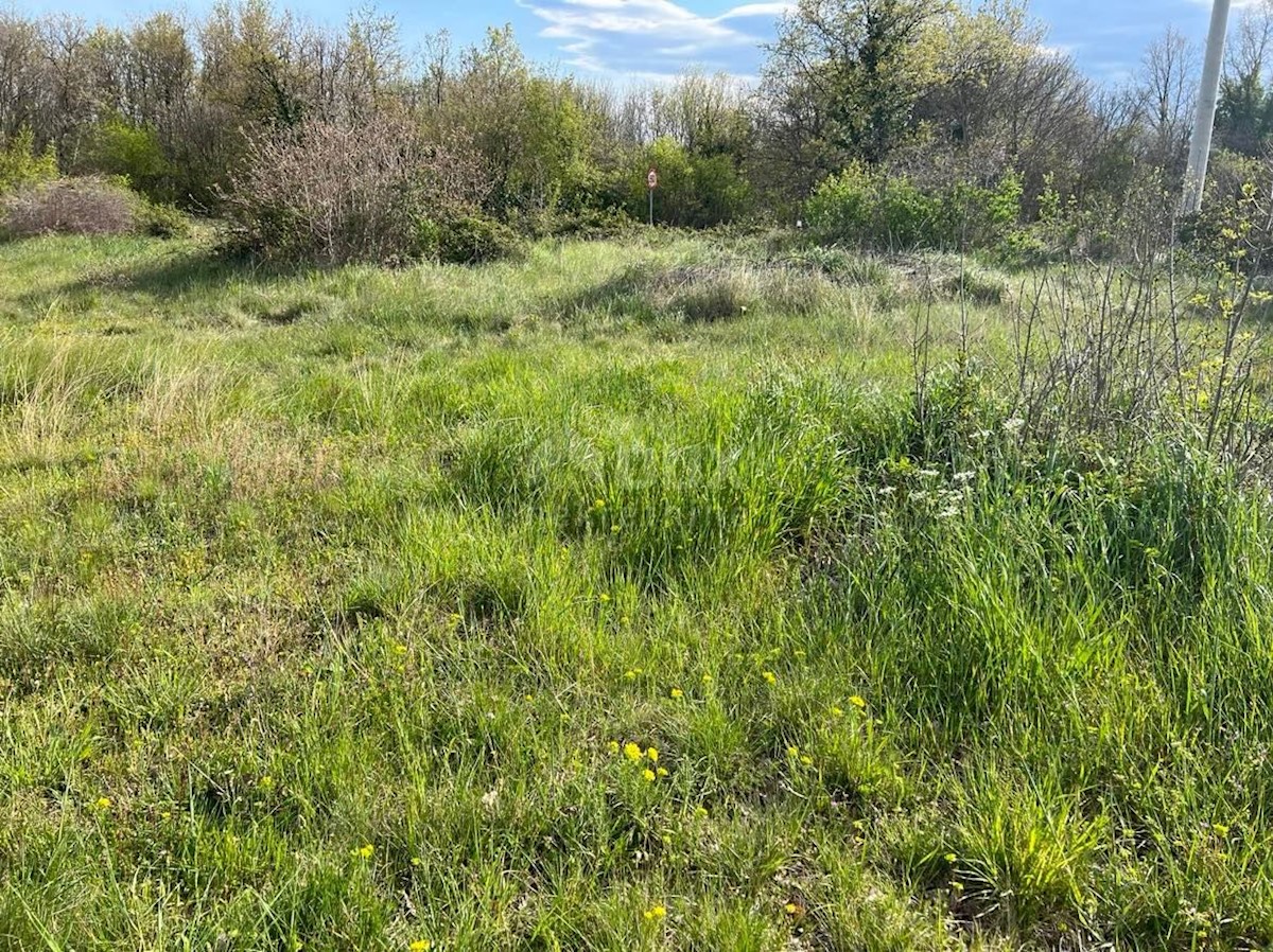 Pozemok Na predaj - ISTARSKA SVETVINČENAT