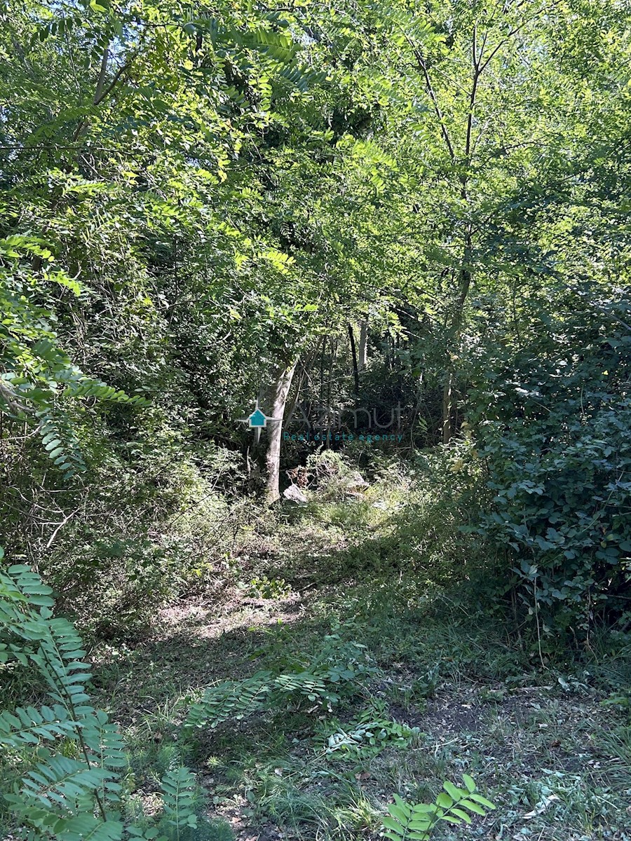 Terreno In vendita - ISTARSKA BUJE