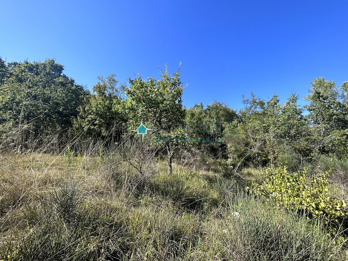 Terreno In vendita - ISTARSKA BUJE