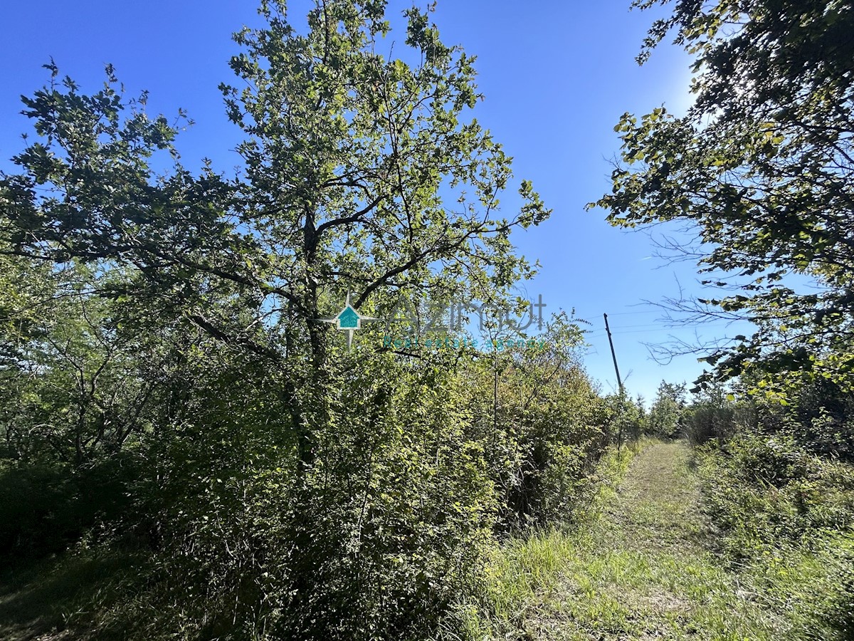 Terreno In vendita - ISTARSKA BUJE