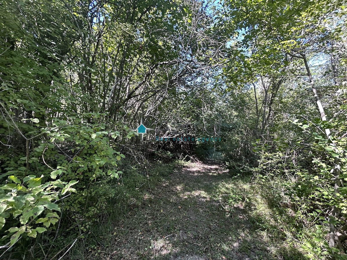 Terreno In vendita - ISTARSKA BUJE