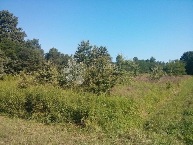 Land for sale 26046 m² – Žbandaj