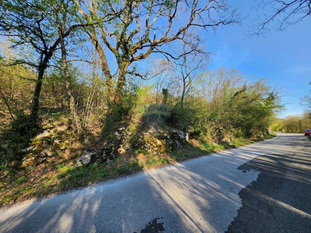 Pozemek na prodej 2214 m² – Cernik