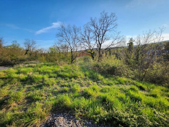 Pozemek na prodej 3136 m² – Cernik