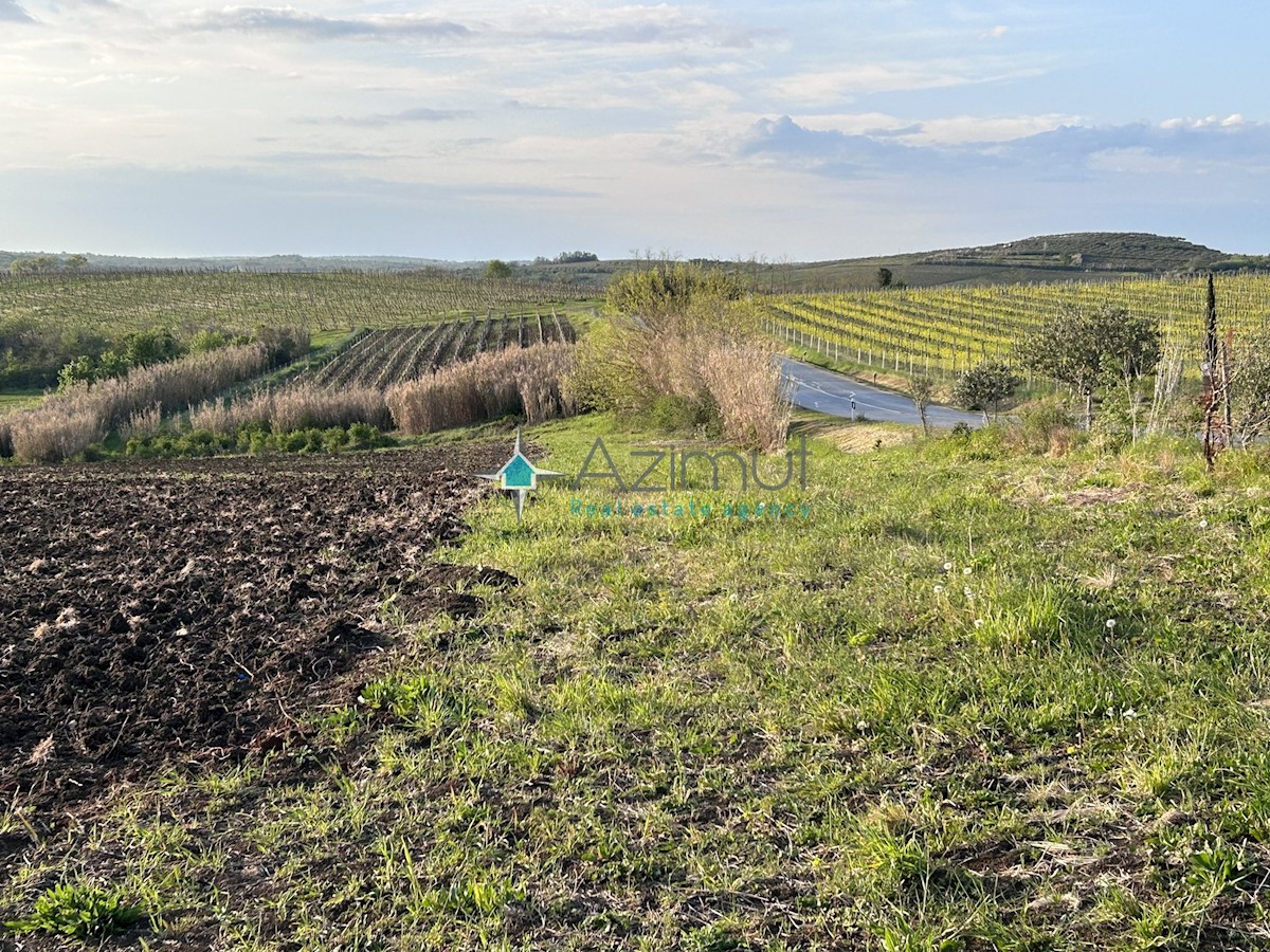 Zemljište Na prodaju - ISTARSKA BUJE