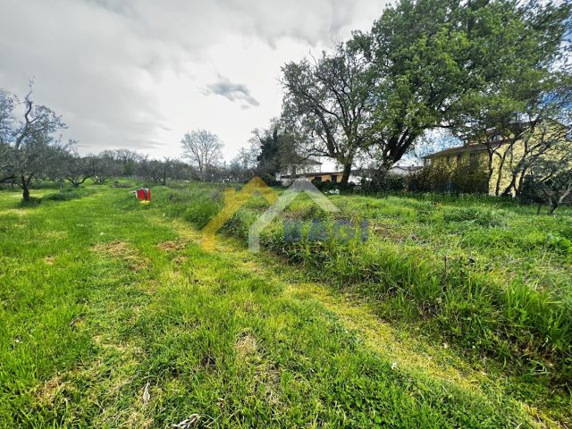 Parcela na predaj 1500 m² – Pomer