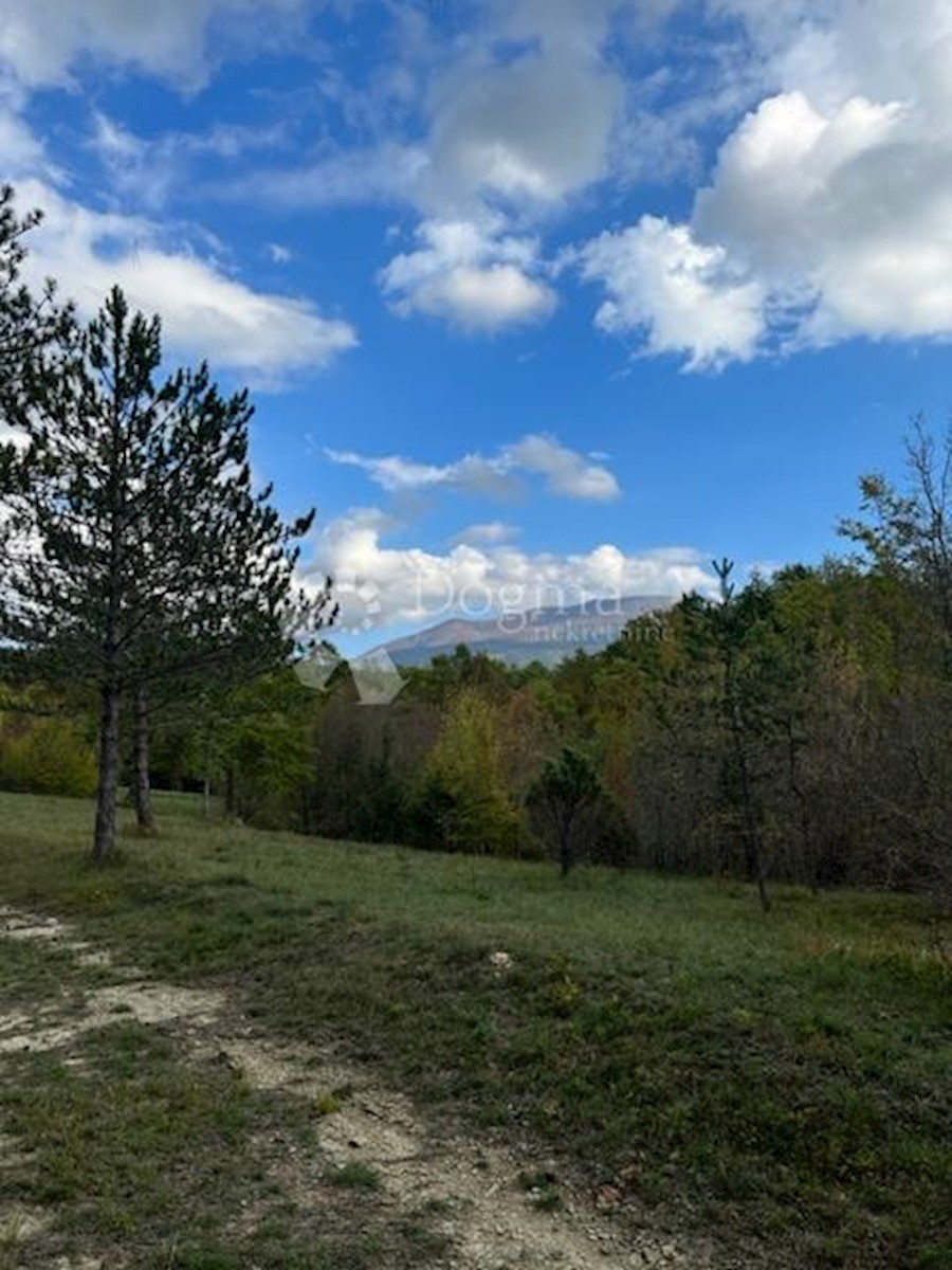 Pozemok Na predaj - ISTARSKA LUPOGLAV