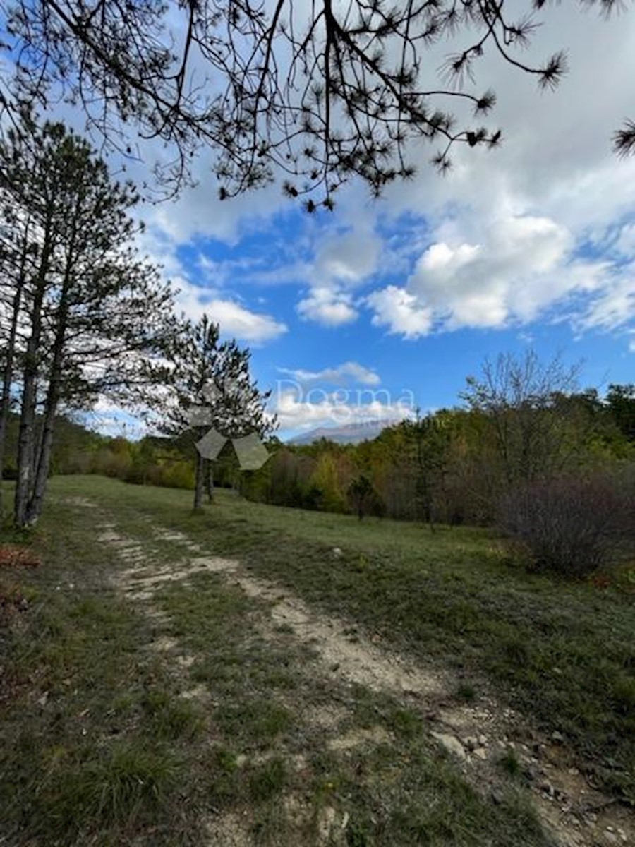 Terreno In vendita - ISTARSKA LUPOGLAV