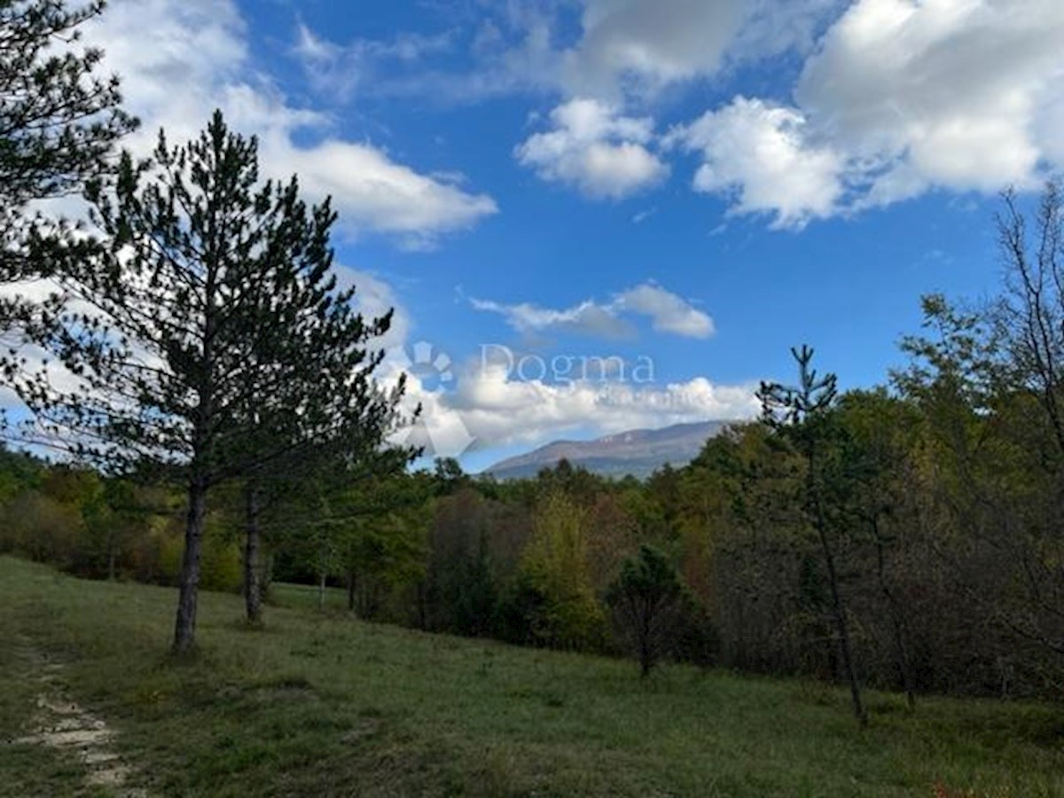 Terreno In vendita - ISTARSKA LUPOGLAV