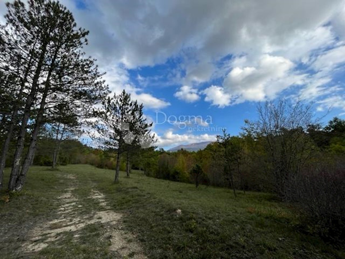 Terreno In vendita - ISTARSKA Lupoglav