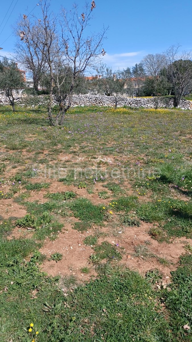 Land For sale - ISTARSKA MARČANA