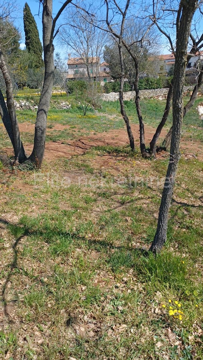 Zemljište Na prodaju - ISTARSKA MARČANA